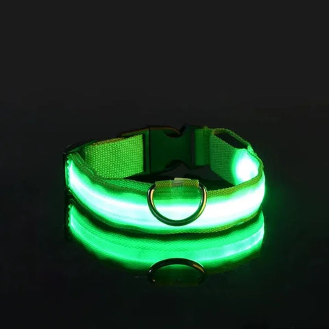 LED Nylon Dog Leash & Collar Set – Glow-in-the-Dark Flashing Pet Gear for Night Safety - Green / XL