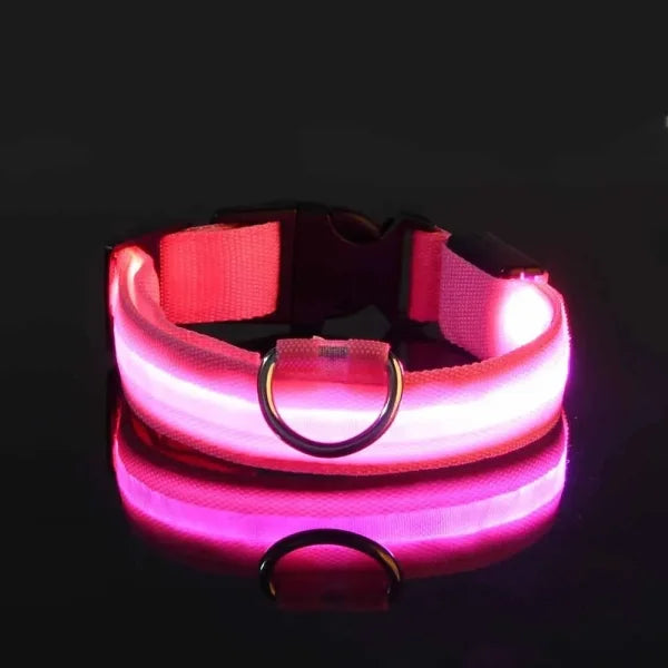 LED Nylon Dog Leash & Collar Set – Glow-in-the-Dark Flashing Pet Gear for Night Safety - Pink / XL