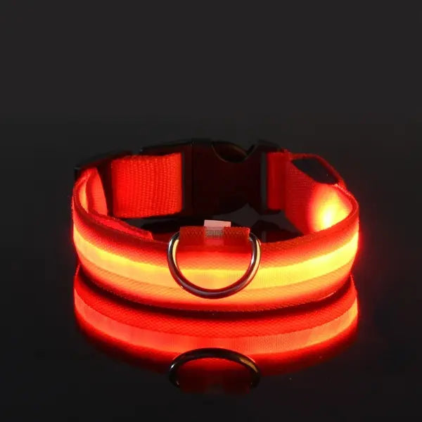 LED Nylon Dog Leash Night Safety Luminous Glow in the Dark Pet Lead - Red / XL