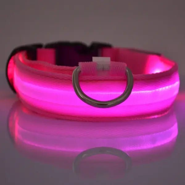 LED Nylon Dog Leash Night Safety Luminous Glow in the Dark Pet Lead