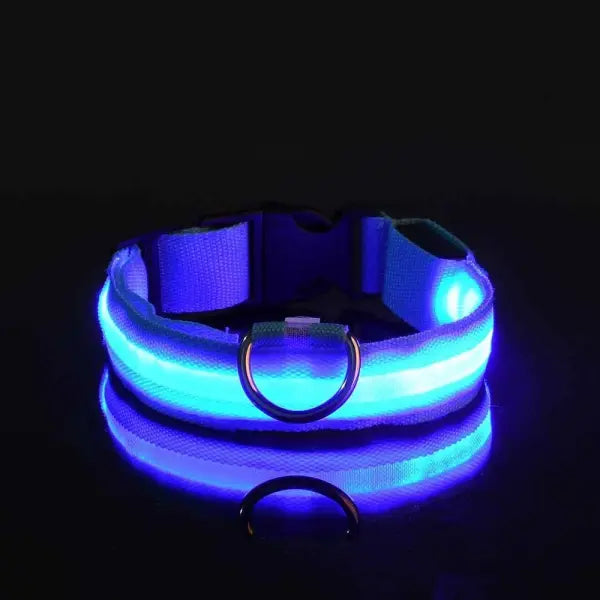 LED Nylon Dog Leash Night Safety Luminous Glow in the Dark Pet Lead - Blue / S