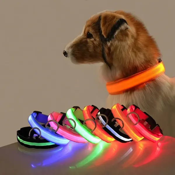 LED Nylon Dog Leash Night Safety Luminous Glow in the Dark Pet Lead
