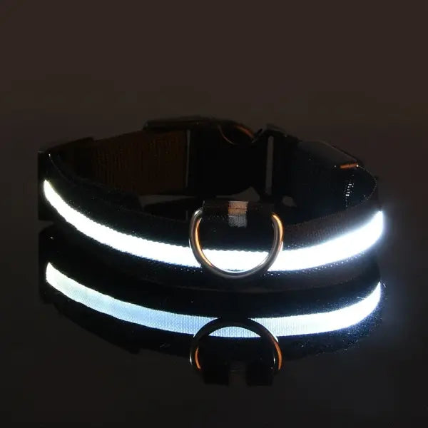 LED Nylon Dog Leash Night Safety Luminous Glow in the Dark Pet Lead - black / XS（old）