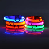 LED Nylon Dog Leash Night Safety Luminous Glow in the Dark Pet Lead