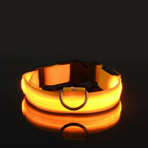 LED Nylon Dog Leash Night Safety Luminous Glow in the Dark Pet Lead - YELLOW / XS（old）
