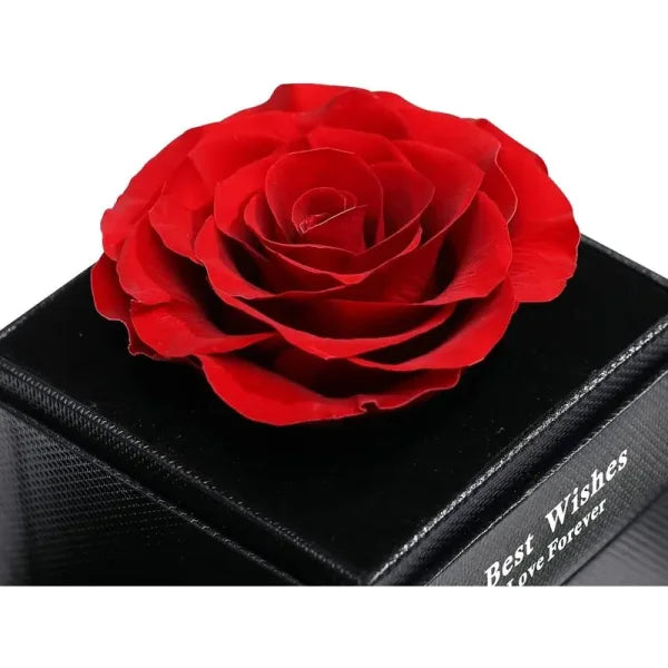 Luxurious Rose Gift for Valentine’s Day and Special Occasions