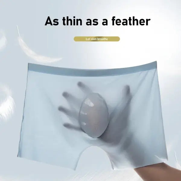 Men’s Ice Silk Boxer Briefs 10 Pcs Seamless Ultra-thin Breathable Style