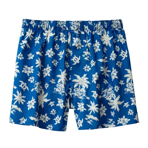 Men’s Quick-Dry Swim Shorts – Breathable Fitness Beach Boardwear - Himpall