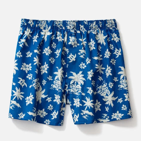 Men’s Quick-Dry Swim Shorts – Breathable Fitness Beach Boardwear - Himpall