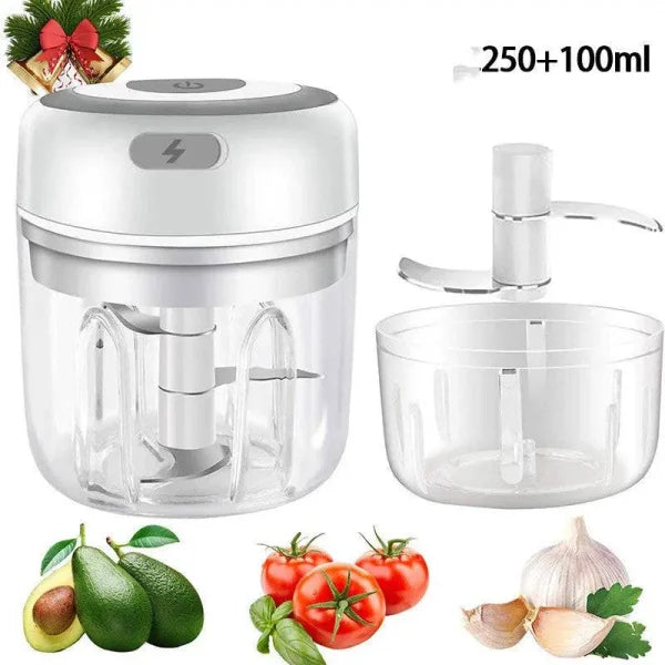 Mini Electric Chopper USB Rechargeable Garlic and Vegetable Chopper - Himpall