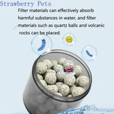 New Biochemical Sponge Filter: Air-Driven Bio-Foam Skimmer & Filter for Fish Tanks