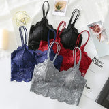 New Women Lace Bras Top Comfortable Bralette Solid Color Sexy Underwear Vest Female Hollow Out Wireless Lingerie