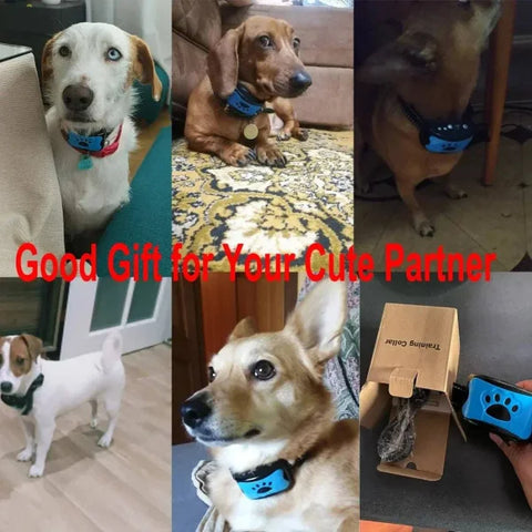 PawSilence Plus Ultimate Ultrasonic Anti-Barking Training Device - Himpall
