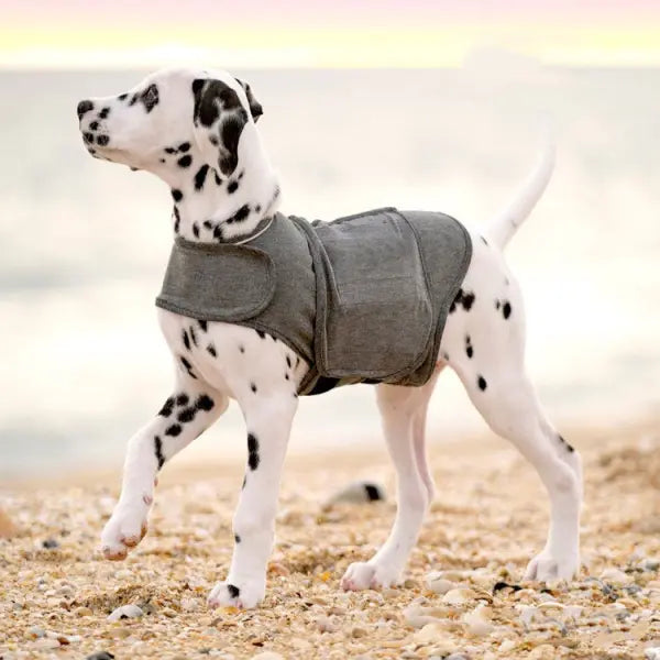 Pet Clothes Dog Anxiety Jacket Warm Vest - Hair Remover