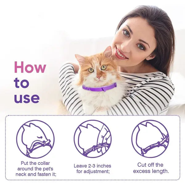 Pet Soothing Calming Collar Cat - Pet Medical Collars