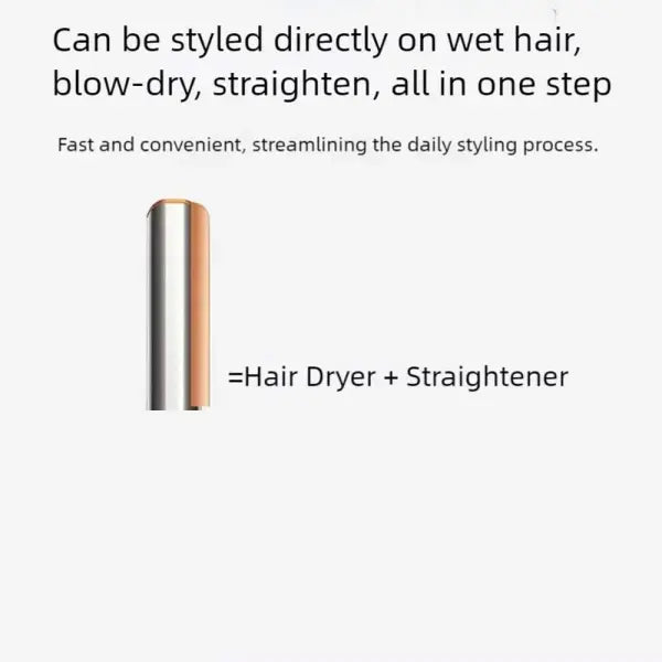 Professional 2-in-1 Hair Dryer and Straightener Negative Ion Iron Long Lasting Styling Tool Wet and Dry Straightener