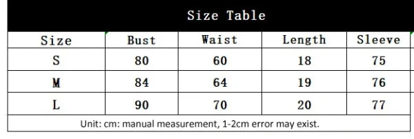 Sexy Mesh Embroidered Bustier Corset Top – Slim Fit Long Sleeve Shaper