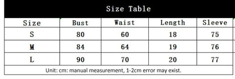 Sexy Mesh Embroidered Bustier Corset Top – Slim Fit Long Sleeve Shaper