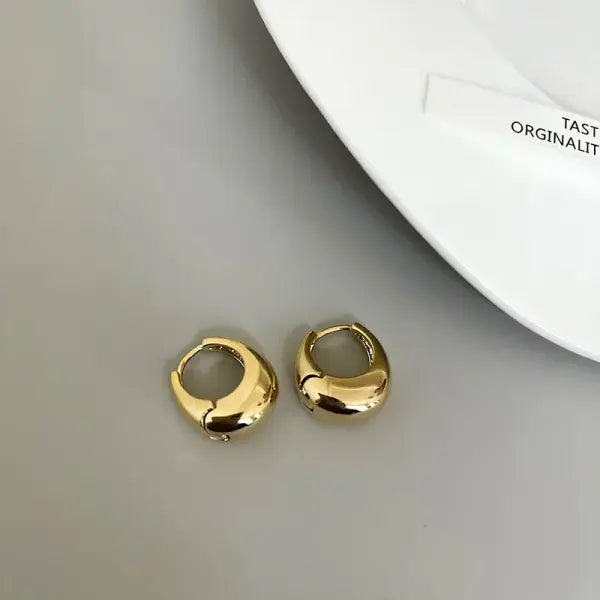Stainless Steel Smooth Metal Chunky Hoop Earrings For Women Girls Fashion Round Circle Hoops Statement Earrings Punk