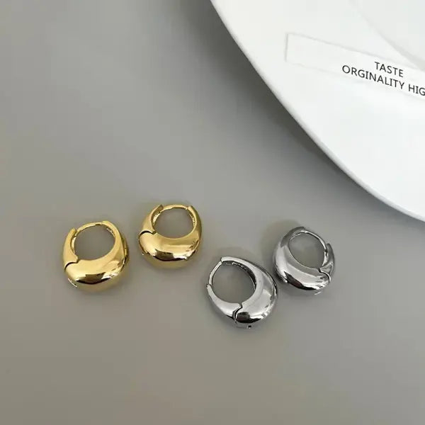 Stainless Steel Smooth Metal Chunky Hoop Earrings For Women Girls Fashion Round Circle Hoops Statement Earrings Punk