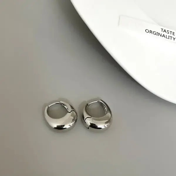 Stainless Steel Smooth Metal Chunky Hoop Earrings For Women Girls Fashion Round Circle Hoops Statement Earrings Punk
