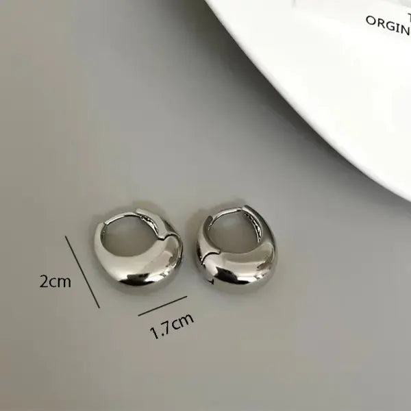 Stainless Steel Smooth Metal Chunky Hoop Earrings For Women Girls Fashion Round Circle Hoops Statement Earrings Punk