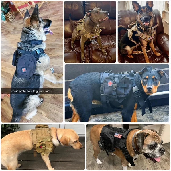 Tactical Dog Harness with Leash and Training Vest for All Dogs - Himpall