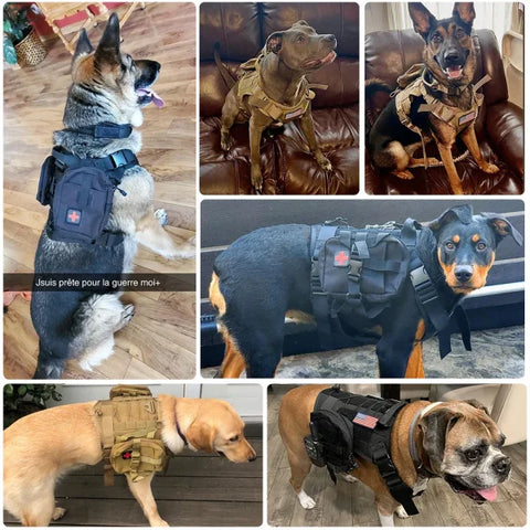 Tactical Dog Harness with Leash and Training Vest for All Dogs - Himpall