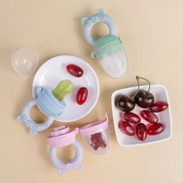 Silicone Fruit and Vegetable Feeder Food Grade Teething Pacifier Set