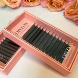 W Shape Eyelashes Extensions Soft Premade Fan Shaped Bloom Natural Style