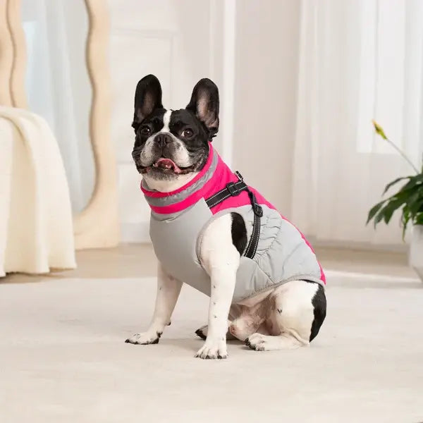 Waterproof Winter Dog Jacket with Harness – Warm Coat for Small & Large Dogs Chihuahua & French Bulldog Outfits