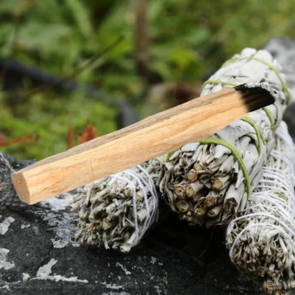 White Sage Bundles for Spiritual Meditation and Energy Cleansing - Himpall