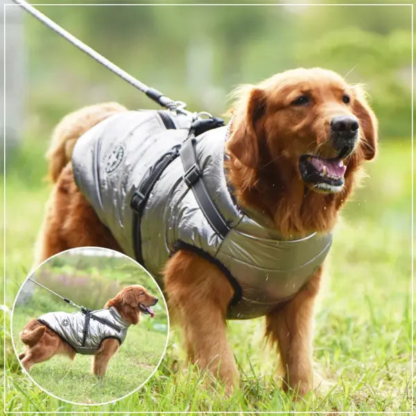 Waterproof Winter Dog Jacket with Harness – Warm Coat for Large Dogs Labrador Chihuahua & French Bulldog
